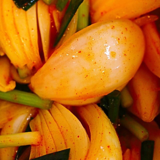 花粉症対策の新玉ねぎキムチ 양파김치 レシピ 作り方 By いも クックパッド 花粉症対策の新玉ねぎキムチ 양파김치 レシピ 作り方 By いも クックパッド
