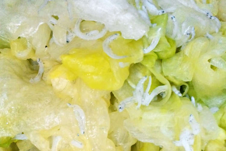 レタスとちりめんじゃこの温野菜 レシピ 作り方 By みったまりお クックパッド
