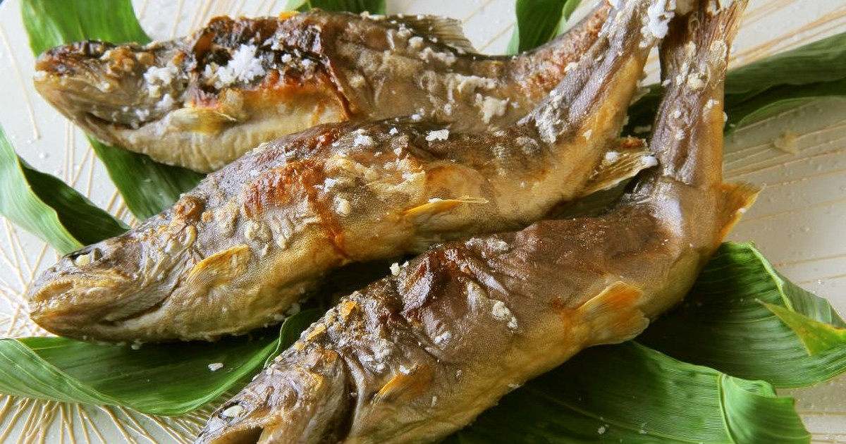 イワナの基本知識 レシピ 旬な時期 釣り方 さばき方を解説 釣りラボマガジン