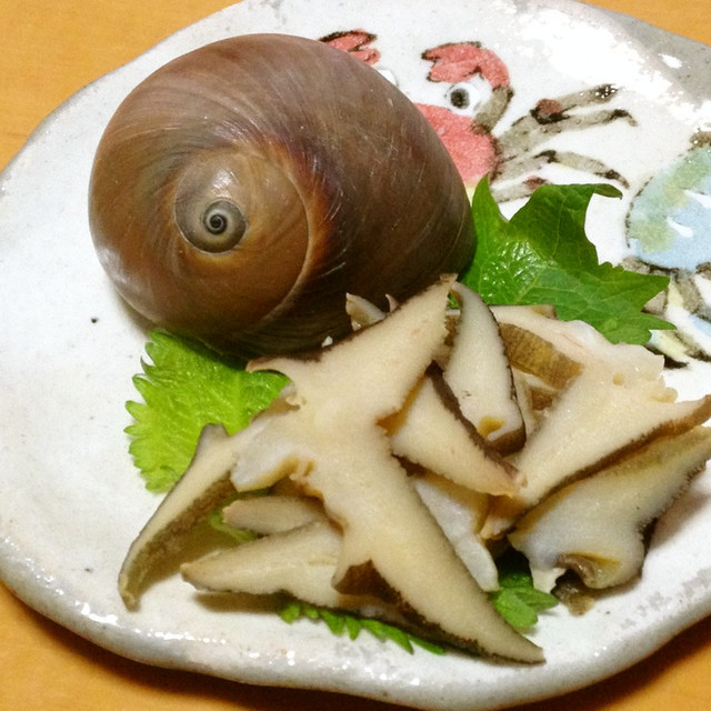ツメタガイの刺身 レシピ 作り方 By 明石浦漁業協同組合 クックパッド ツメタガイの刺身 レシピ 作り方 By 明石浦漁業協同組合 クックパッド