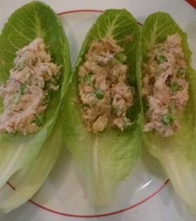 簡単 鮭缶 水きりヨーグルトでサラダ