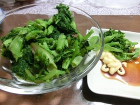 春5番目の山菜・シャクのおひたし(^^)