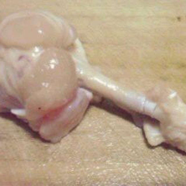 鶏手羽元チューリップのさばき方 レシピ 作り方 By 杏ans クックパッド 簡単おいしいみんなのレシピが350万品 鶏手羽元チューリップのさばき方 レシピ 作り方 By 杏ans クックパッド 簡単おいしいみんなのレシピが350万品