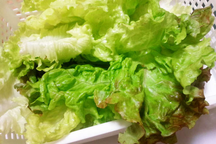 元気のない野菜は湯洗いしましょう レシピ 作り方 By ハートフルキッチン麗 クックパッド 簡単おいしいみんなのレシピが374万品