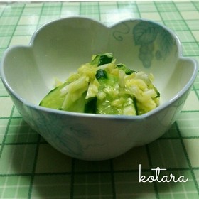 簡単♪❇キャベツときゅうり❇の漬物♪