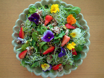 食べる綺麗エディフルフラワーサラダの写真