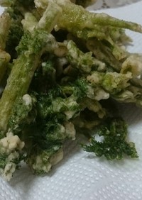 春5番目の山菜・シャクの天ぷら