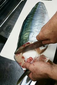 マグロ漁師流簡単ブリ捌き方から刺身