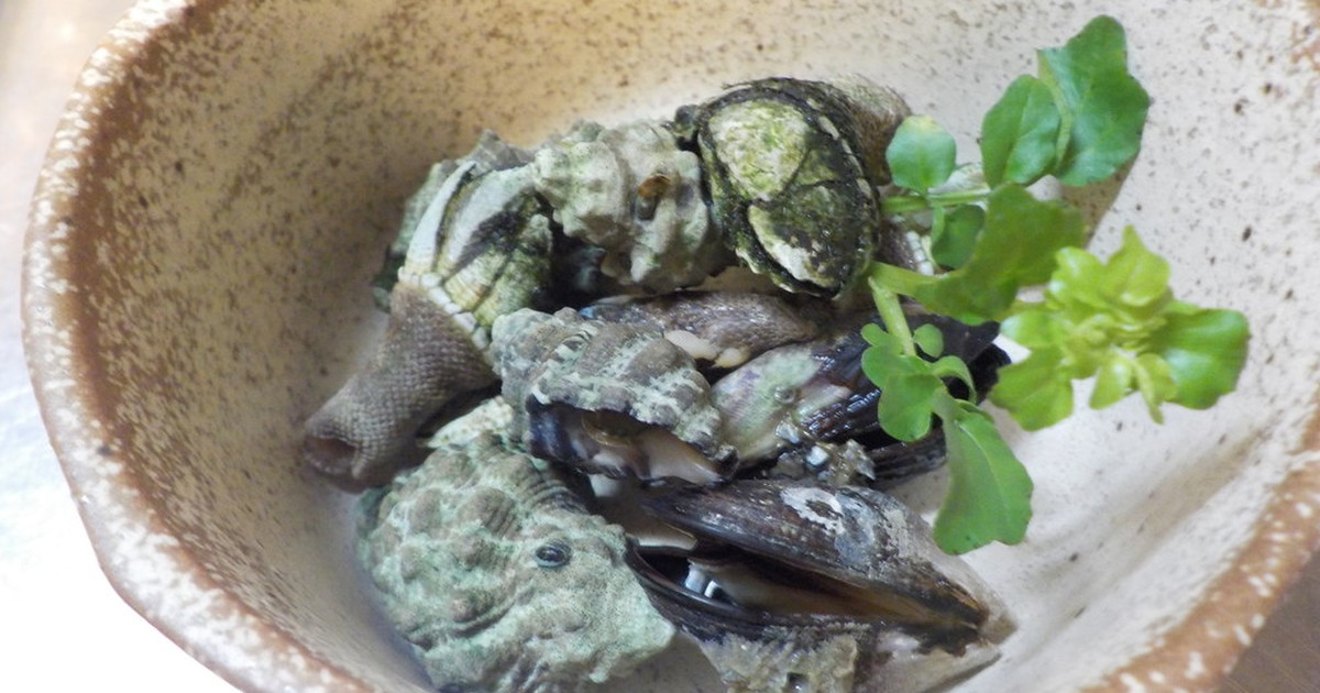 磯ものを食い尽くす イボニシ レシピ 作り方 By Lyow クックパッド