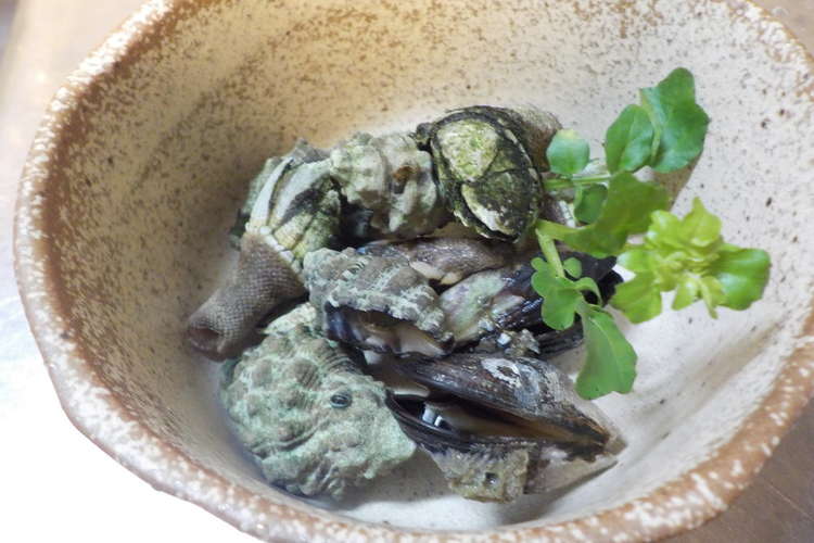 磯ものを食い尽くす イボニシ レシピ 作り方 By Lyow クックパッド 簡単おいしいみんなのレシピが360万品
