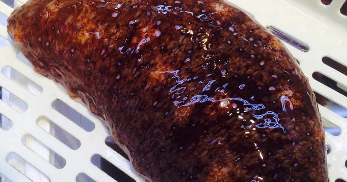 知ってる 赤ナマコや青ナマコのさばき方 レシピ 作り方 By Kittko クックパッド 簡単おいしいみんなのレシピが356万品