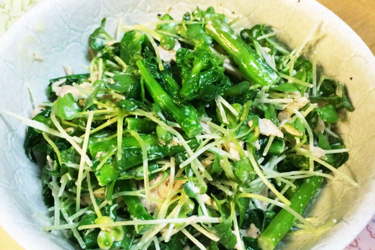 簡単 菜の花とカイワレのツナマヨ和え レシピ 作り方 By 子豚のひーちゃん クックパッド 簡単おいしいみんなのレシピが378万品
