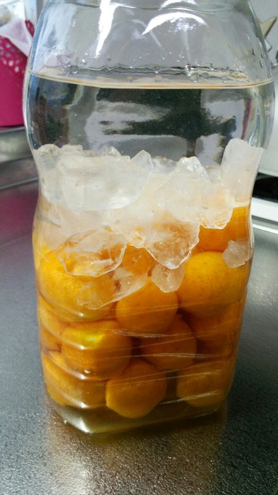 きんかんたまたまの金柑酒の写真