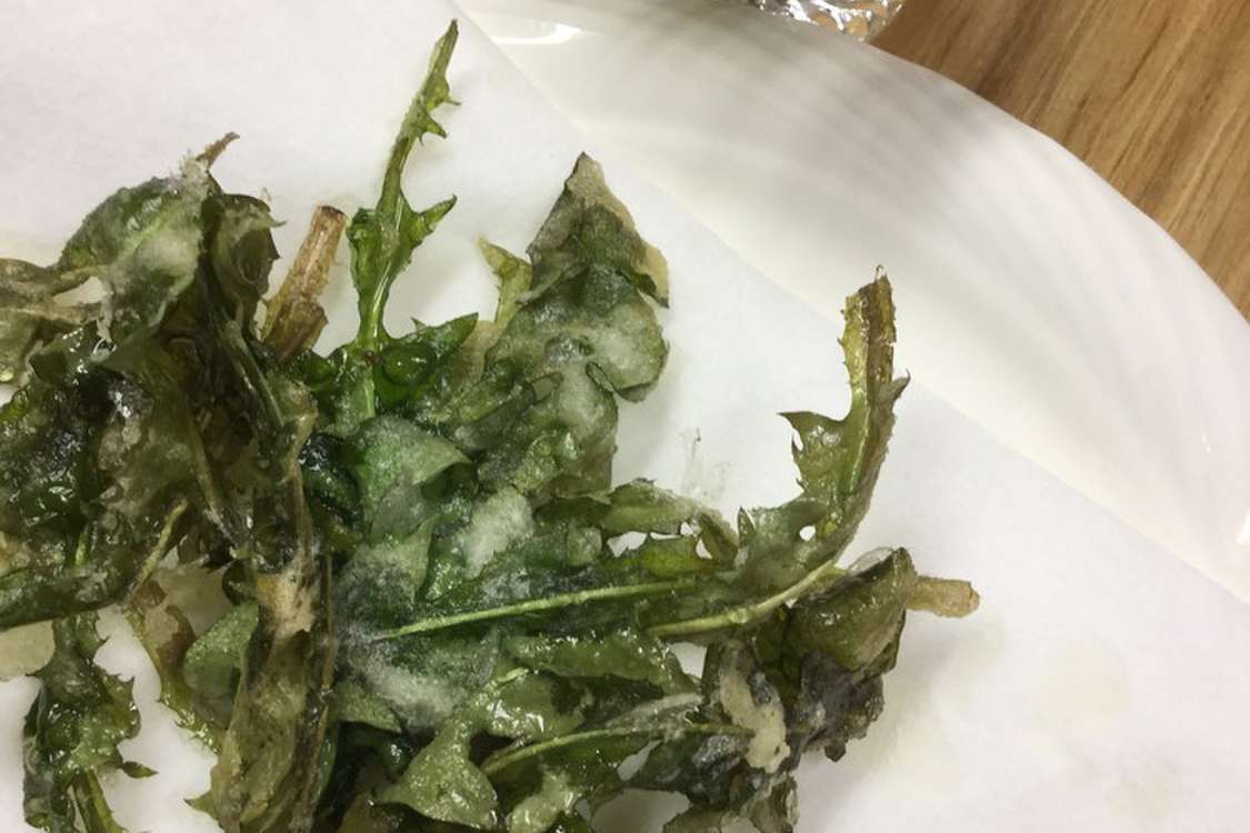 春 たんぽぽの葉っぱのてんぷら レシピ 作り方 By はーとねこ クックパッド 簡単おいしいみんなのレシピが379万品