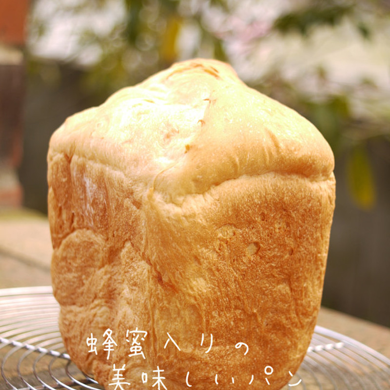 特価】 サフ インスタントドライイースト 赤 125g<br> フランスパン 食パンなど糖分の少ないパン向け