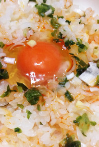 ズボララー油ぶっかけネギ丼ヽ(°ㅁ°)ﾉ