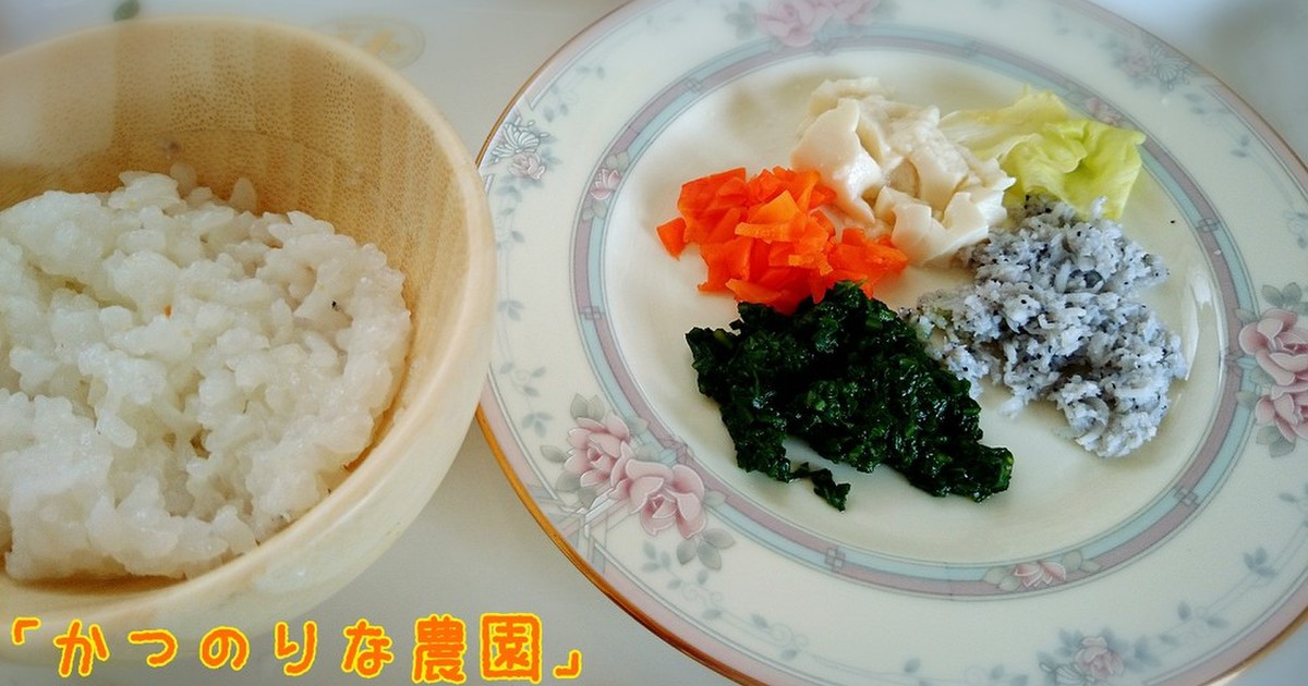 10ヶ月離乳食☆しらすと野菜 by 「かつのりな農園」 【クックパッド】 簡単おいしいみんなのレシピが321万品