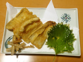 シロアナゴの天ぷら