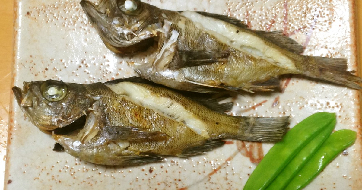 メバルの塩焼き レシピ 作り方 By 明石浦漁業協同組合 クックパッド 簡単おいしいみんなのレシピが354万品