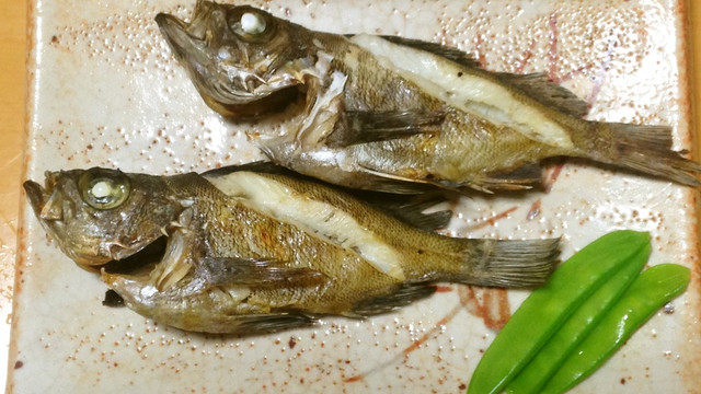 メバルの塩焼き レシピ 作り方 By 明石浦漁業協同組合 クックパッド 簡単おいしいみんなのレシピが361万品