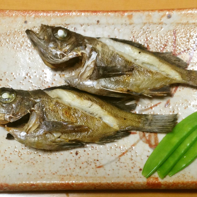 メバルの塩焼き レシピ 作り方 By 明石浦漁業協同組合 クックパッド 簡単おいしいみんなのレシピが354万品 メバルの塩焼き レシピ 作り方 By 明石浦漁業協同組合 クックパッド 簡単おいしいみんなのレシピが354万品