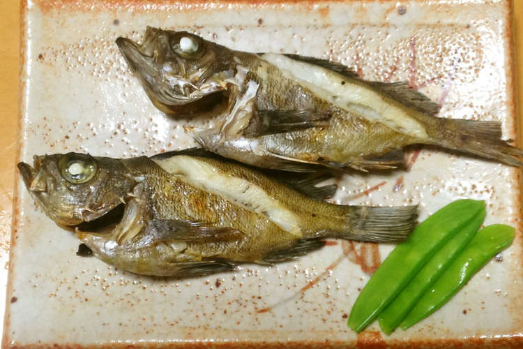メバルの塩焼き レシピ 作り方 By 明石浦漁業協同組合 クックパッド