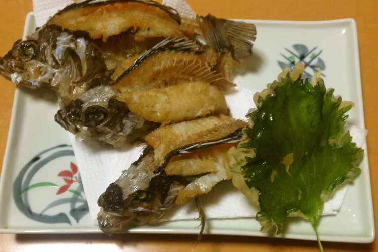 メバルの素揚げ レシピ 作り方 By 明石浦漁業協同組合 クックパッド 簡単おいしいみんなのレシピが360万品