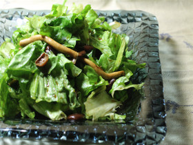 レタスと茸サラダバルサミコドレッシング