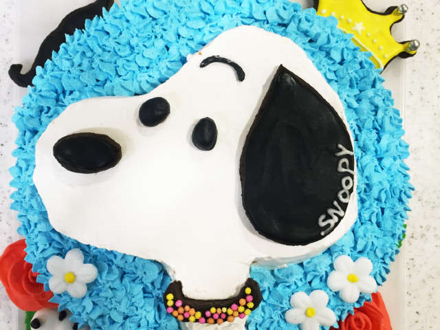 アニメ画像について 50 素晴らしいウッディ イラストケーキ