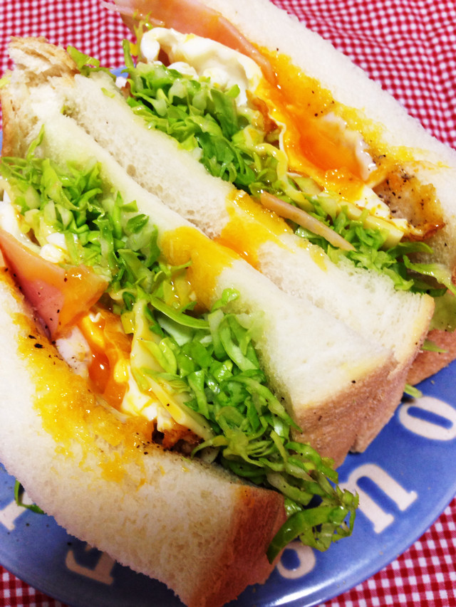 春キャベツと目玉焼きのサンドイッチの画像