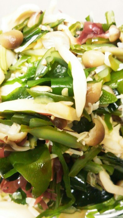 低カロリー♪海藻ときのこのサラダの写真
