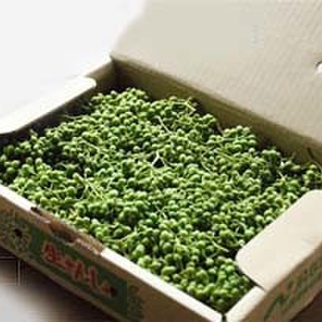 超簡単 山椒の実 の枝掃除 レシピ 作り方 By 板前 徳次郎 クックパッド 簡単おいしいみんなのレシピが350万品