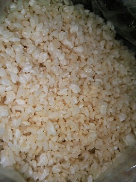 自家製麹の作り方~ヨーグルティア使用~