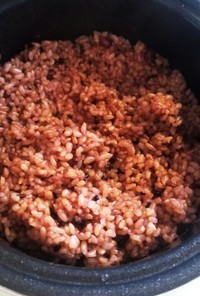 酵素玄米（圧力鍋）