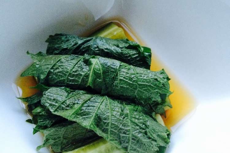 簡単 きゅうりと大葉のおつけもの レシピ 作り方 By くるくるはるか クックパッド 簡単おいしいみんなのレシピが372万品