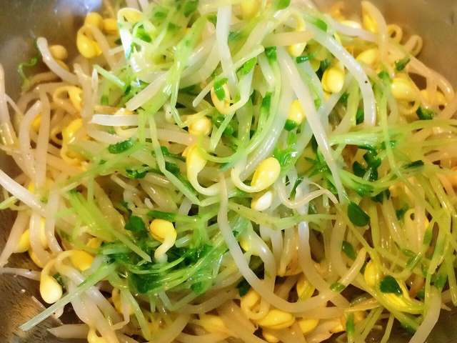 簡単 豆もやしと豆苗のナムル 春のレシピ By Zezzy クックパッド