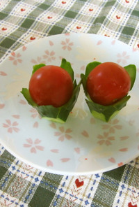 お弁当に♪桔梗キュウリonプチトマト