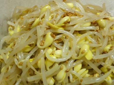 韓国の家庭の味１！豆もやしのナムルの写真