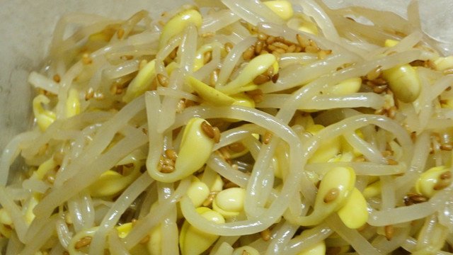 韓国の家庭の味１ 豆もやしのナムル レシピ 作り方 By レストランy クックパッド 簡単おいしいみんなのレシピが352万品