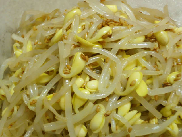 韓国の家庭の味１ 豆もやしのナムル By レストランy クックパッド
