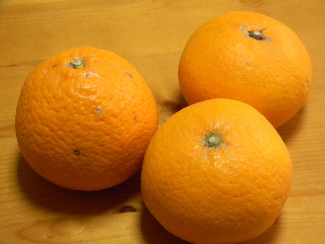 オレンジの切り方の画像