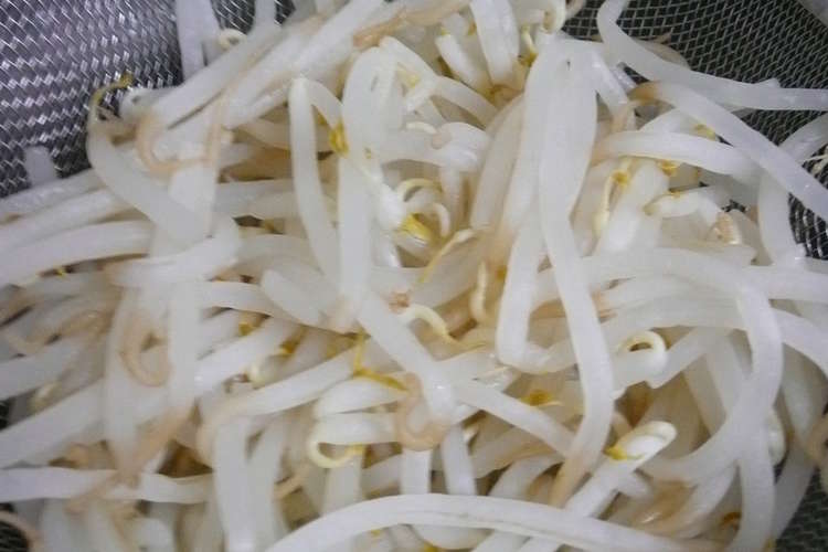 モヤシの臭い消しと茹で方 省エネ レシピ 作り方 By らくらく クックパッド 簡単おいしいみんなのレシピが354万品