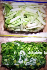 簡単カット野菜 長ねぎの冷凍食品保存