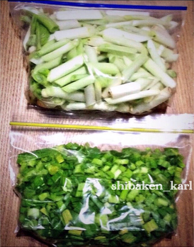 簡単カット野菜 長ねぎの冷凍食品保存の写真