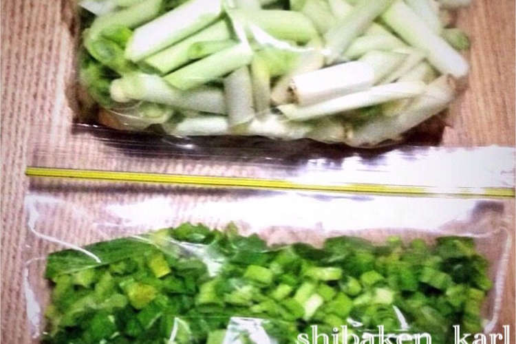 簡単カット野菜 長ねぎの冷凍食品保存 レシピ 作り方 By 柴犬カール クックパッド