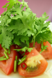 トマトと香菜のサラダ