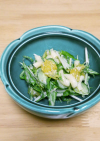 甘夏と水菜のヨーグルトドレサラダ