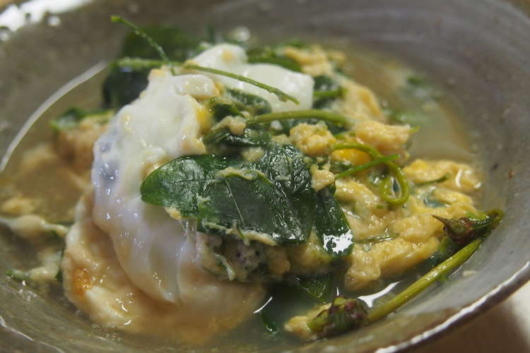 アケビの芽の卵とじ レシピ 作り方 By 針木のぽち クックパッド