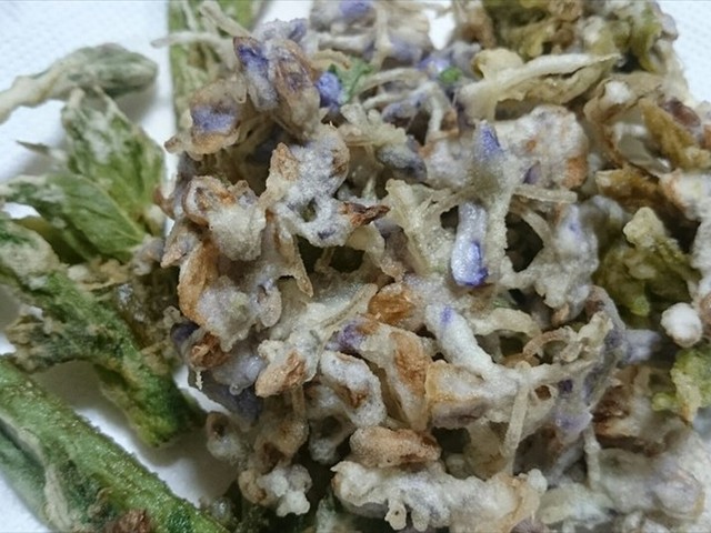 藤の花の天ぷら 簡単 旨い 話題性 レシピ 作り方 By 福井のおじじ クックパッド 簡単おいしいみんなのレシピが350万品