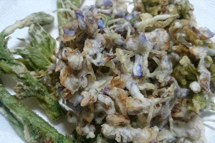藤の花の天ぷら 簡単 旨い 話題性 レシピ 作り方 By 福井のおじじ クックパッド 簡単おいしいみんなのレシピが357万品